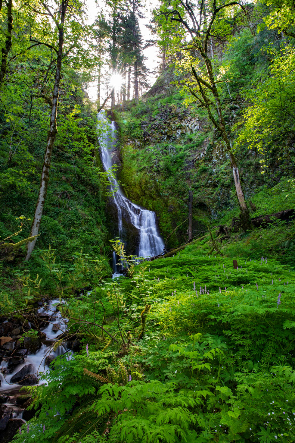 Photo: Wasserfall in der Columbia Gorge
