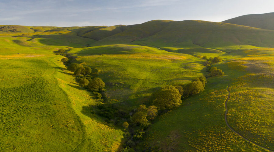 Columbia Hills, Washington, Drohne