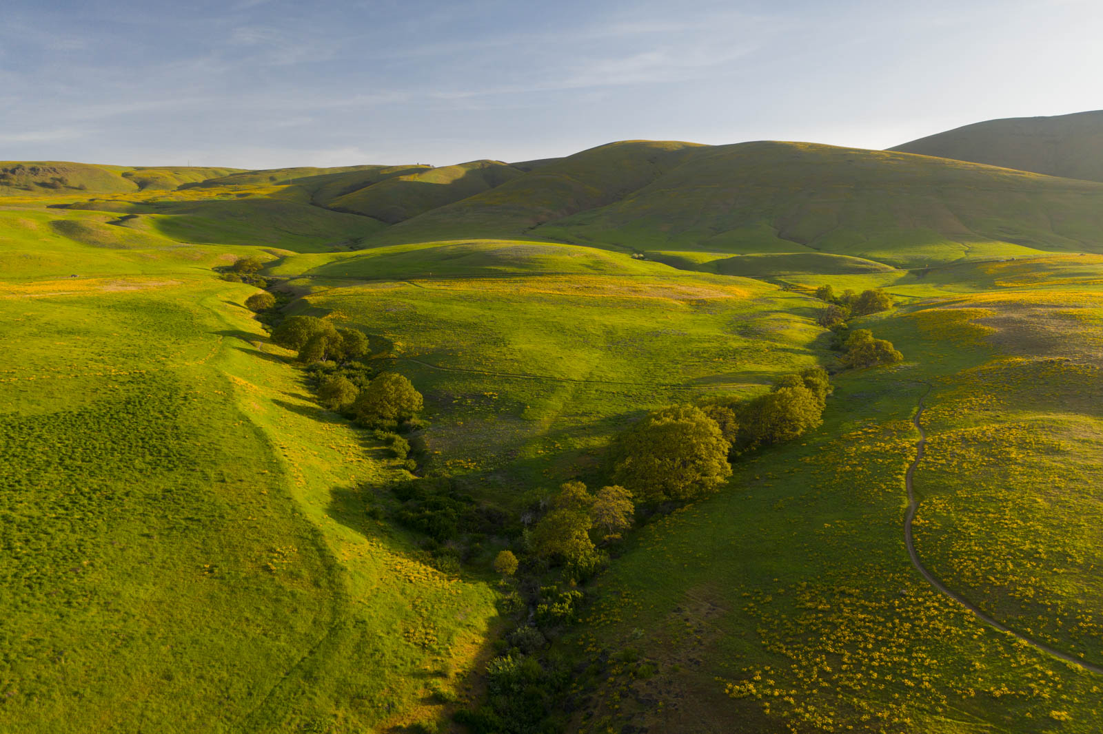 Columbia Hills, Washington, Drohne