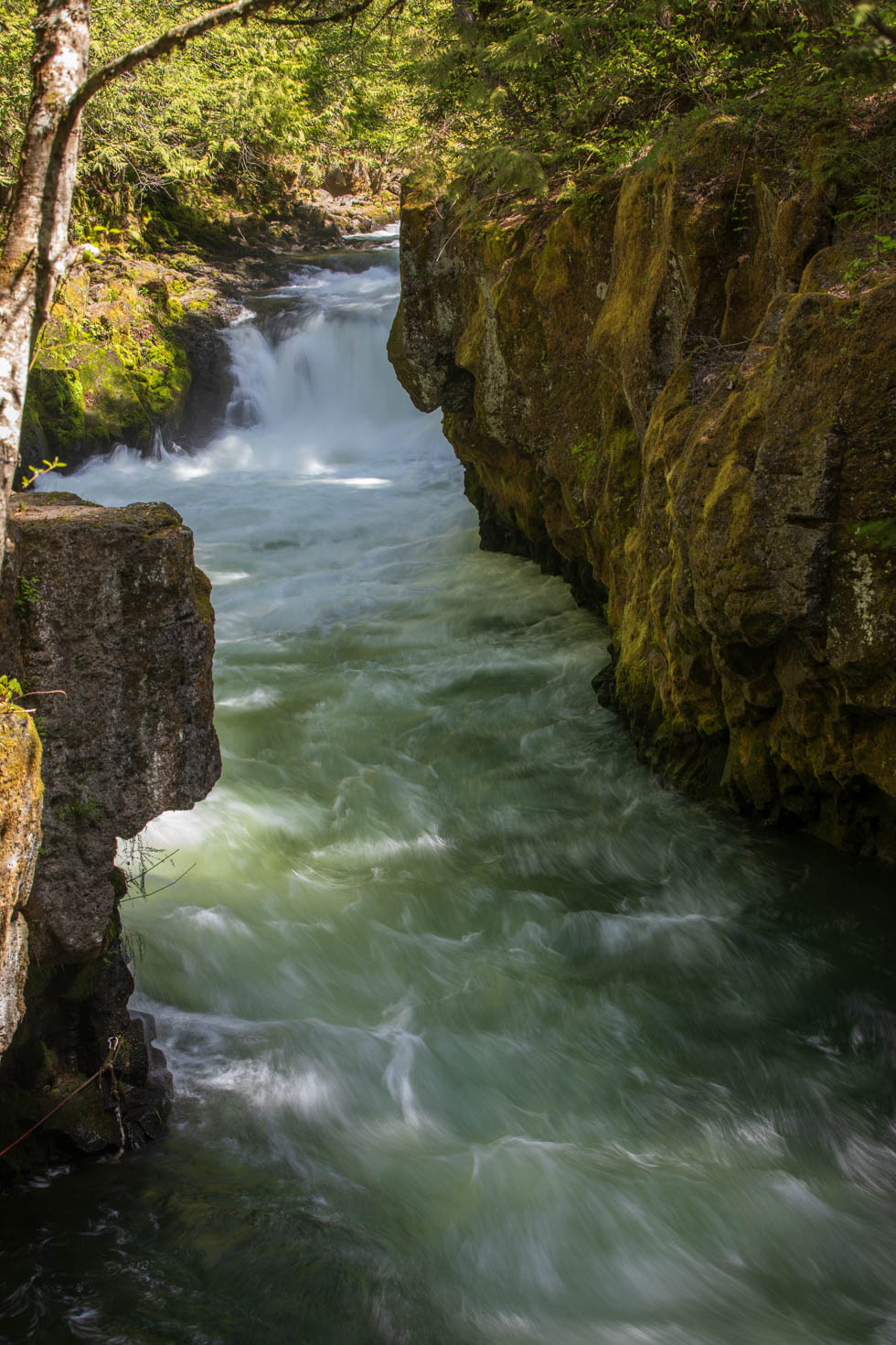 Photo: Stromschnellen an den BZ Falls