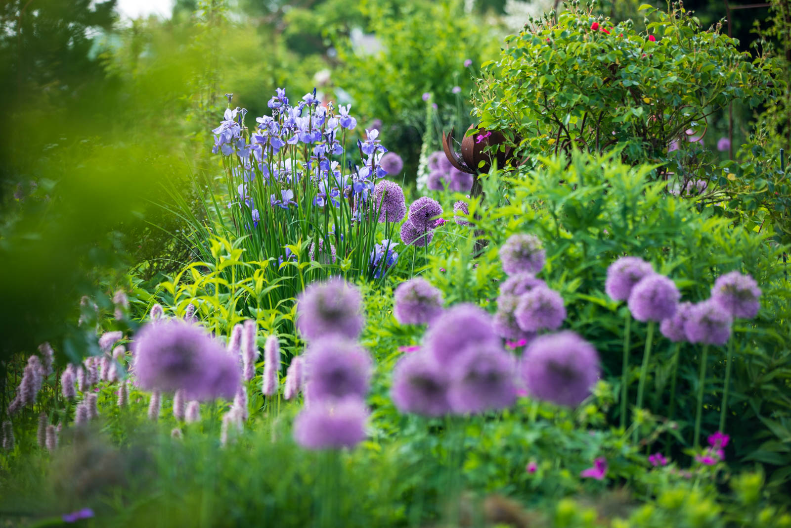 Landidyll Tjarks Ostfriesland, Garten