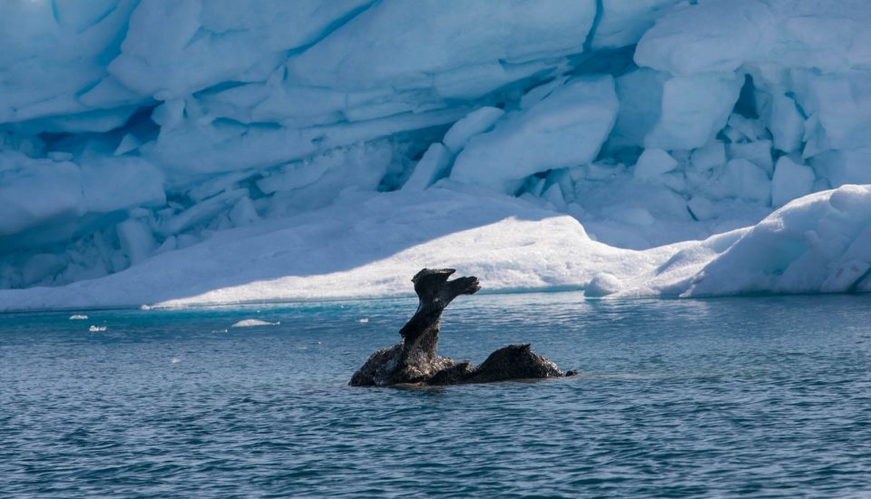 Photo: Bei den Riesen im Sermilik Fjord