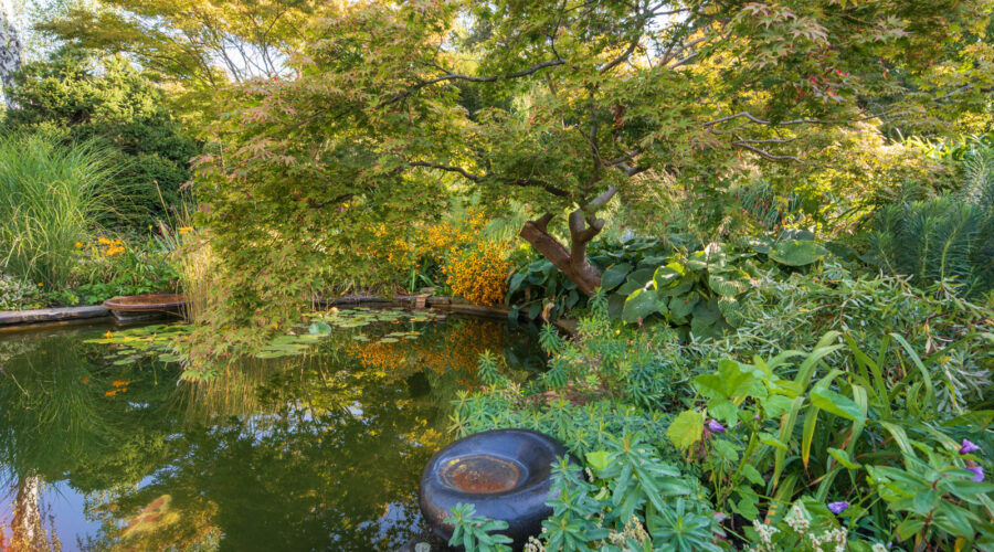 Karl-Foerster-Garten, Potsdam, Teich, Senkgarten