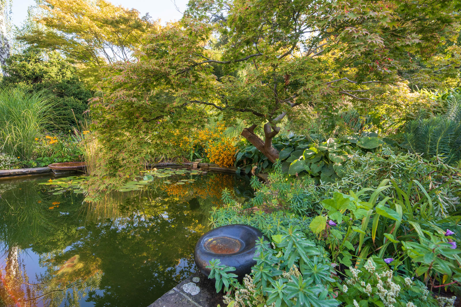 Karl-Foerster-Garten, Potsdam, Teich, Senkgarten