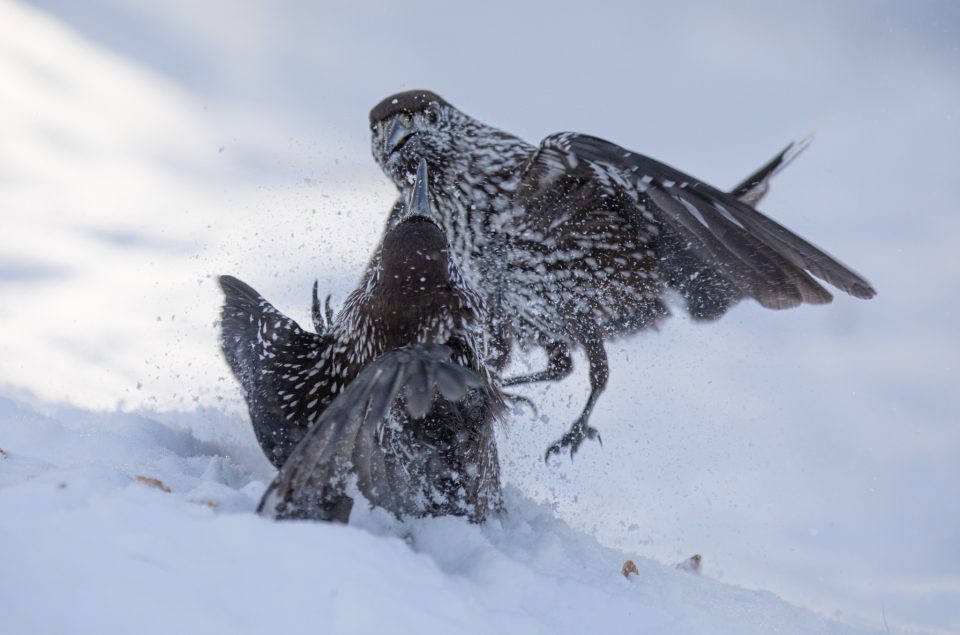 Photo: Sch&ouml;nes Engadin