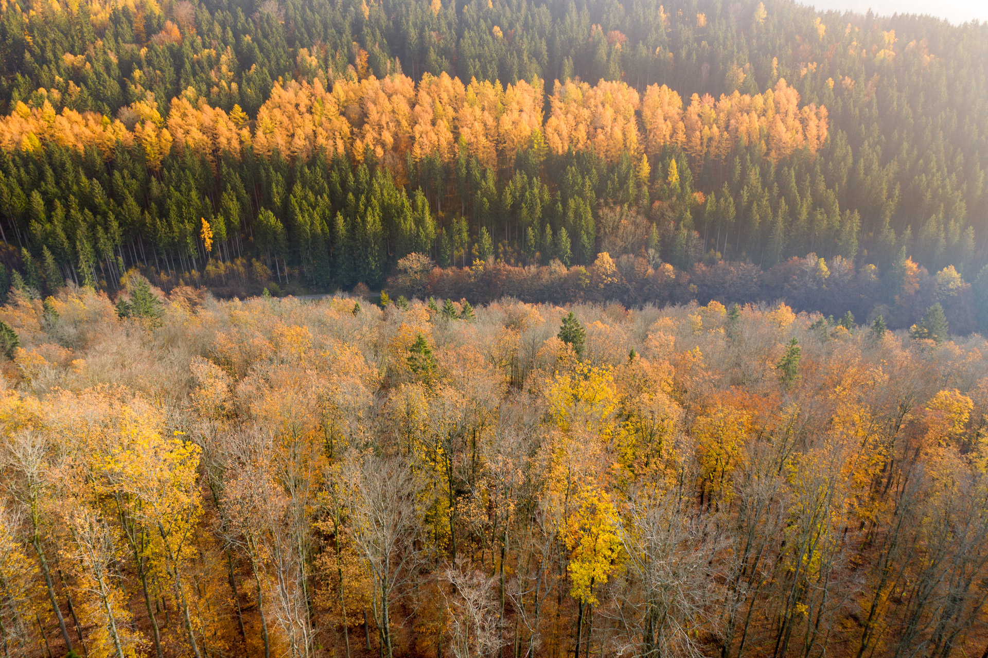 Mavic 2 Pro, Drohne, Thüringer Wald im Herbst mit gelbem Laub