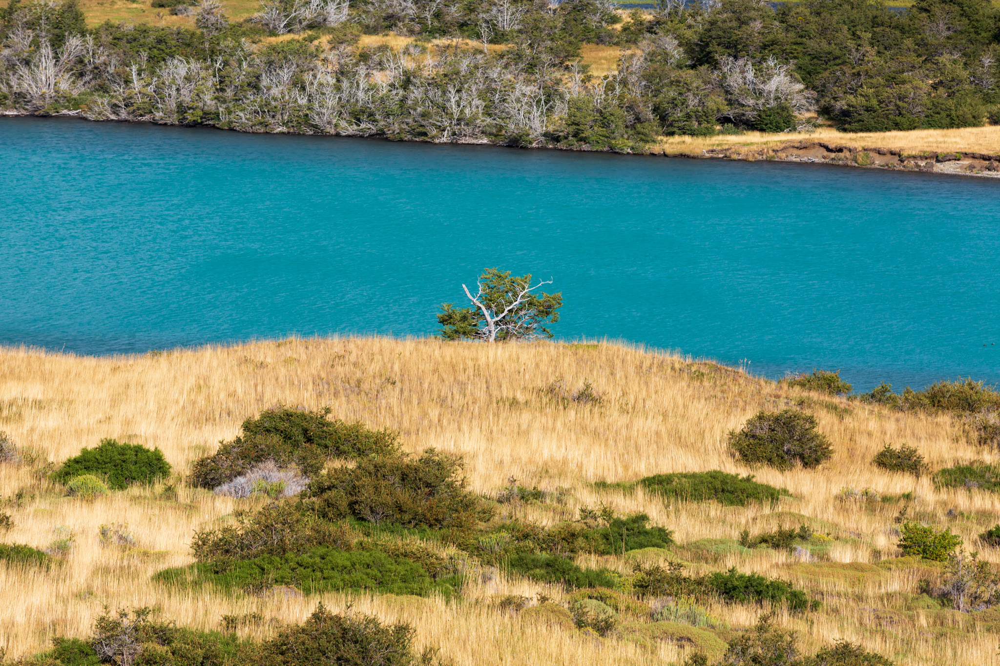 Rio Paine, Chile, Patagonien,