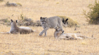 Photo: Patagonien 2023 - Argentinien