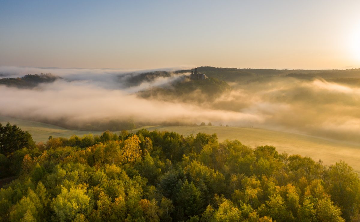 Lahn, Nebel, Schloss, Morgen