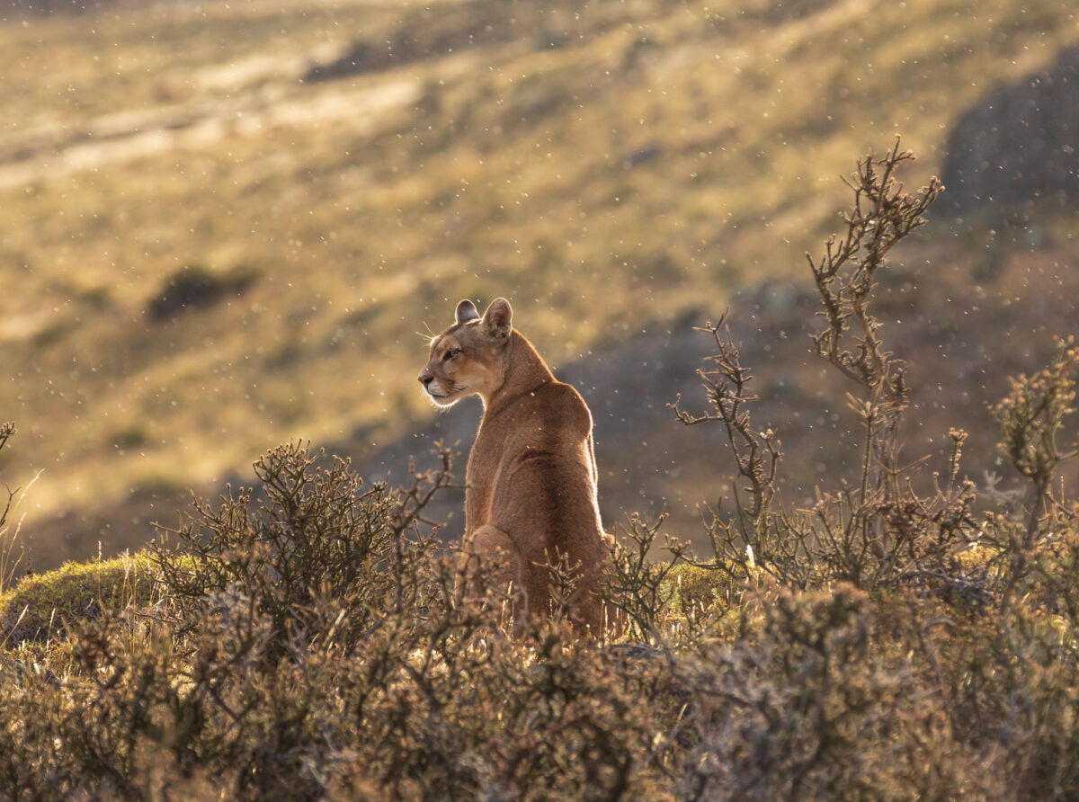 Photo: Portfolio Naturfotografie