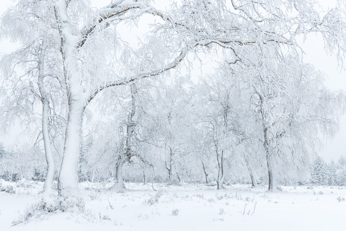 Photo: Winterstimmung