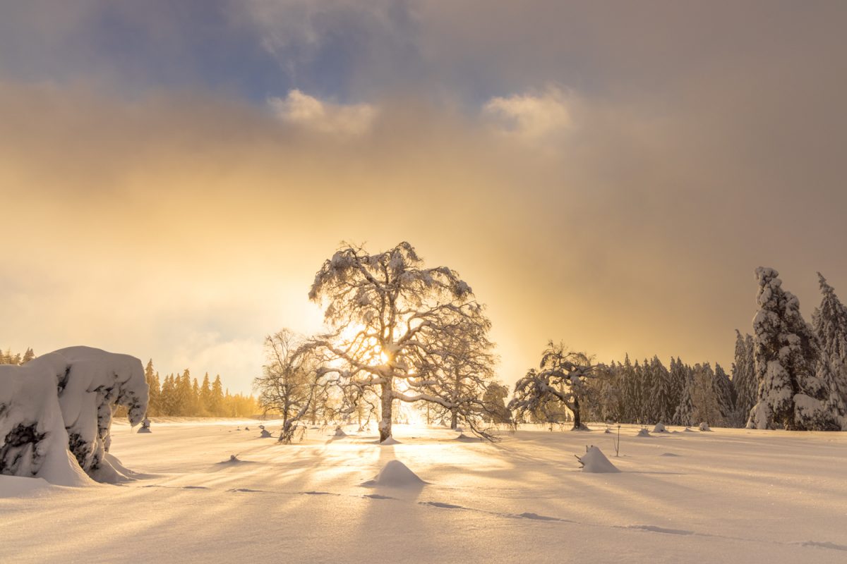 Photo: Winterstimmung