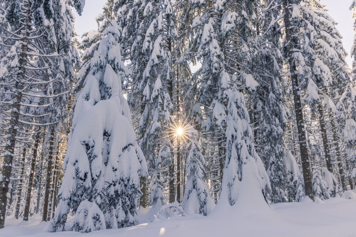 Photo: Winterstimmung