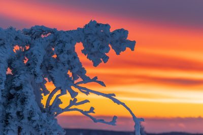 Photo: Winterstimmung