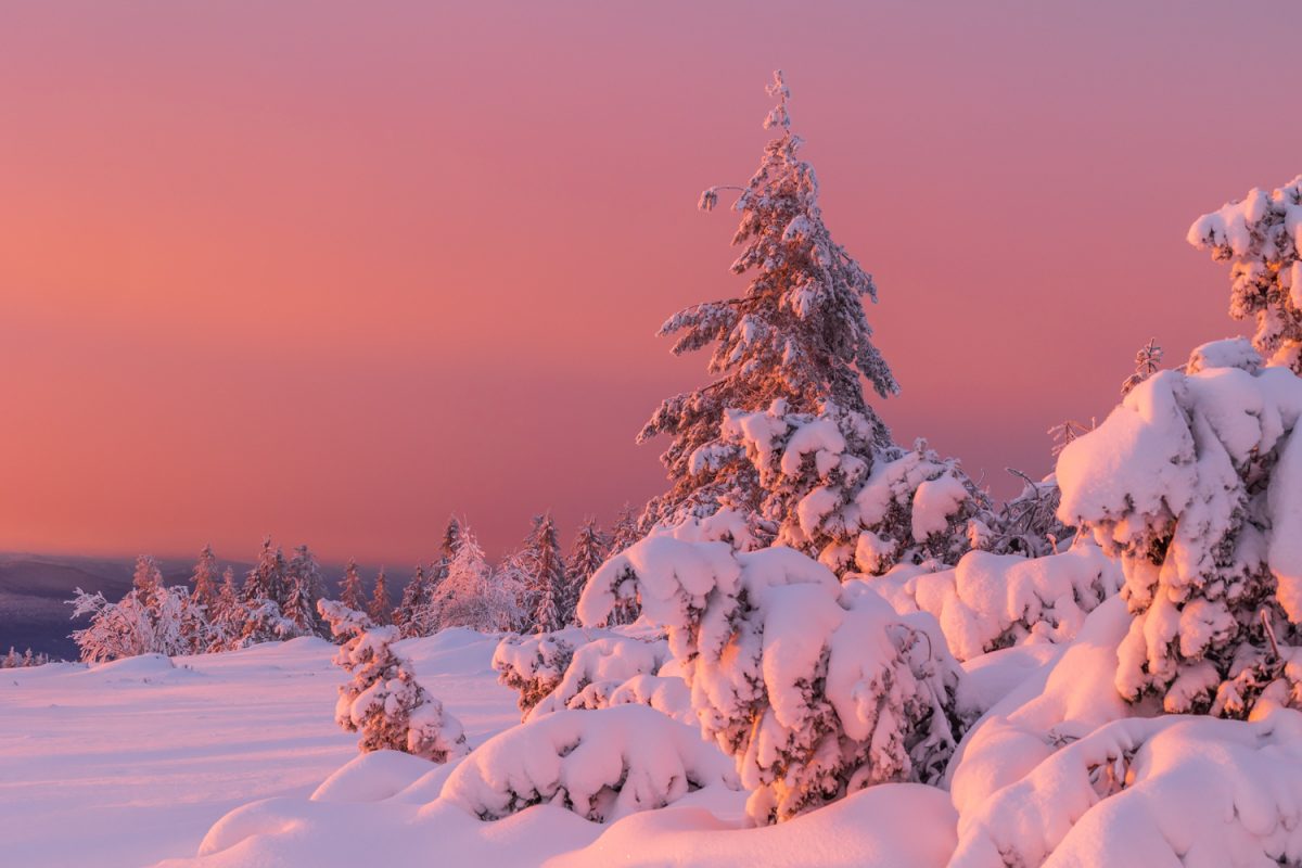 Photo: Winterstimmung