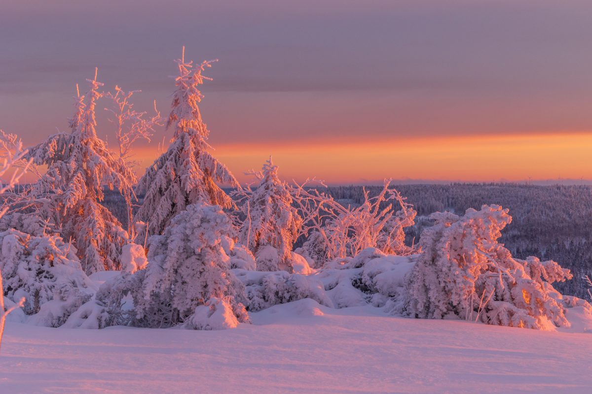 Photo: Winterstimmung