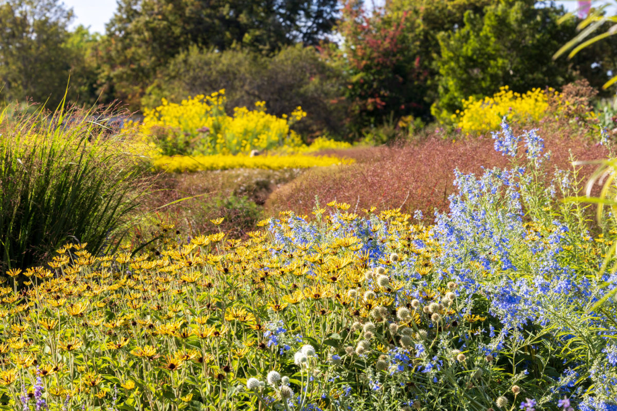 Photo: Bundesgartenschau in Erfurt 2021 - 8000 qm von Petra Pelz