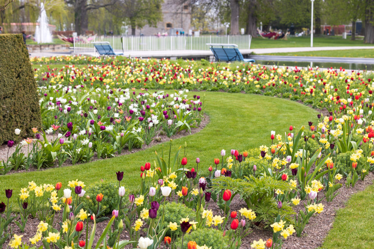 Photo: Bundesgartenschau in Erfurt 2021 - 8000 qm von Petra Pelz