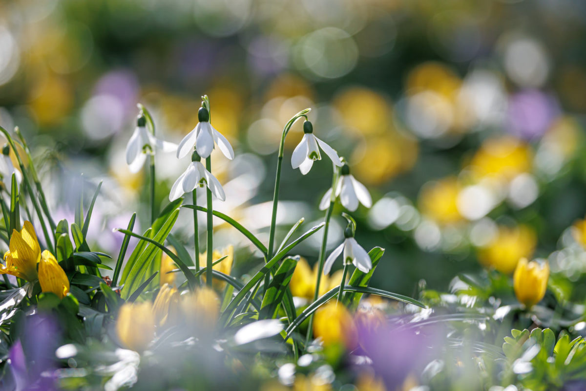 Photo: Der Hermannshof - das Gartenparadies