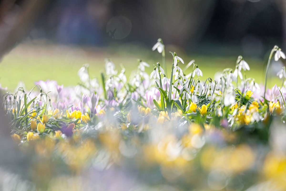 Photo: Der Hermannshof - das Gartenparadies
