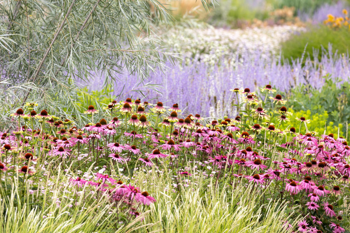 Photo: Bundesgartenschau in Erfurt 2021 - 8000 qm von Petra Pelz
