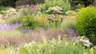 Photo: Intensivkurs Gartenfotografie mit Sylvia Knittel im ega-Park in Erfurt