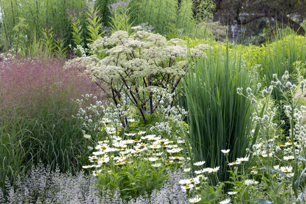 Photo: Bundesgartenschau in Erfurt 2021 - 8000 qm von Petra Pelz