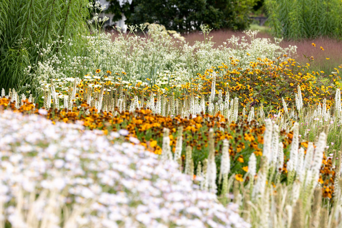 Photo: Bundesgartenschau in Erfurt 2021 - 8000 qm von Petra Pelz