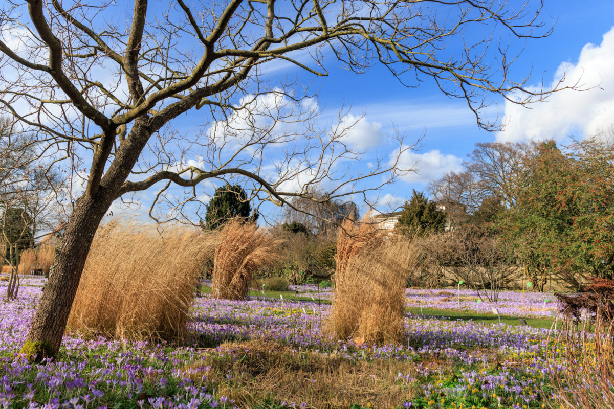 Photo: Der Hermannshof - das Gartenparadies