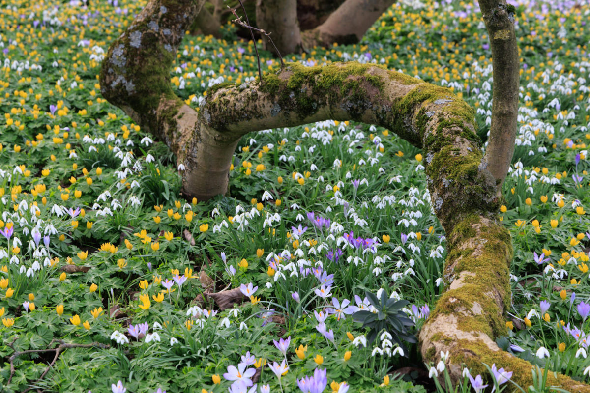 Photo: Der Hermannshof - das Gartenparadies