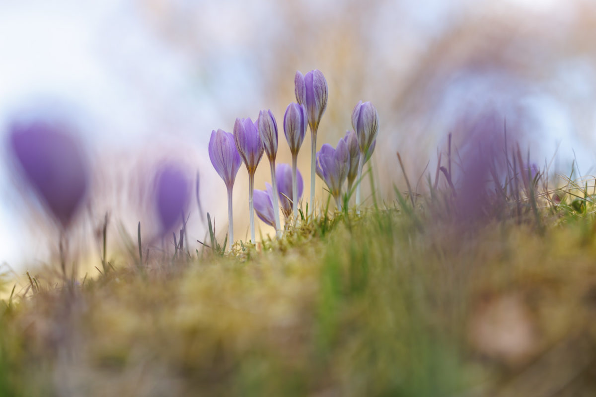 Photo: Der Hermannshof - das Gartenparadies