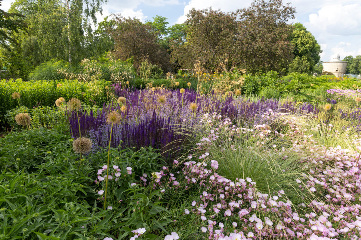 Photo: Bundesgartenschau in Erfurt 2021 - 8000 qm von Petra Pelz