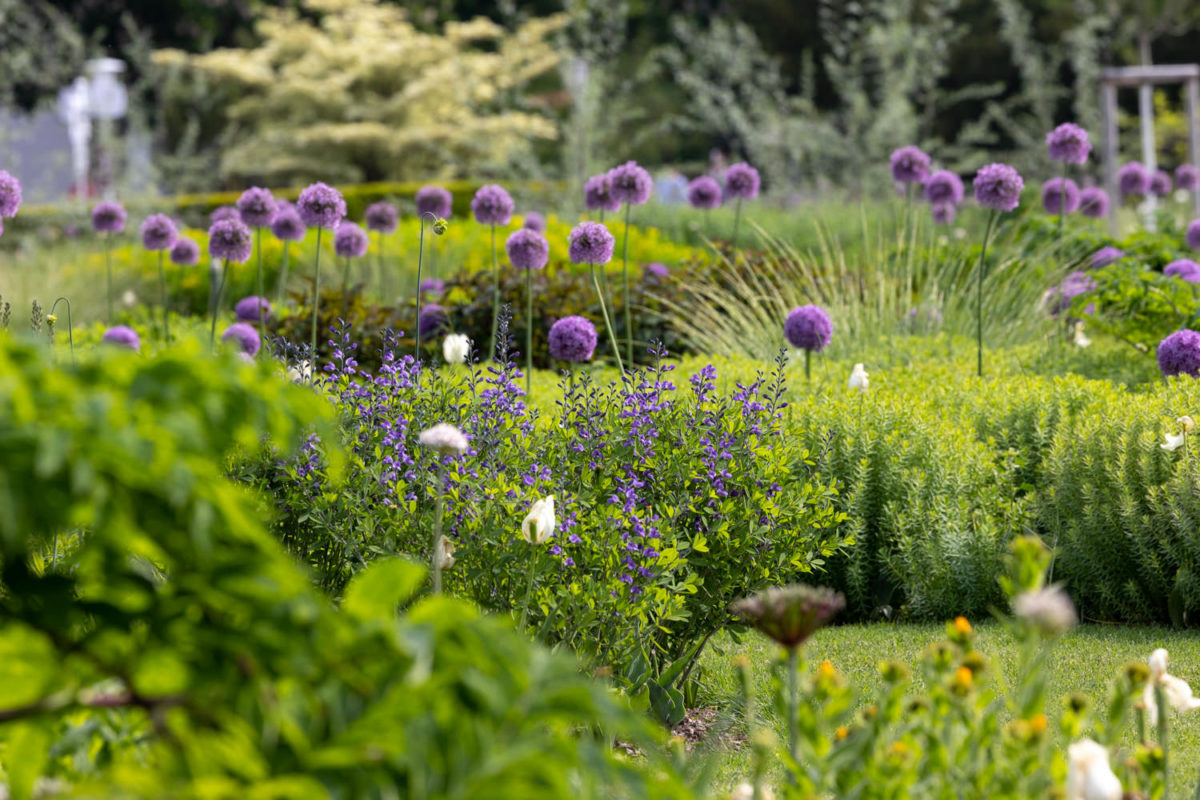 Photo: Bundesgartenschau in Erfurt 2021 - 8000 qm von Petra Pelz