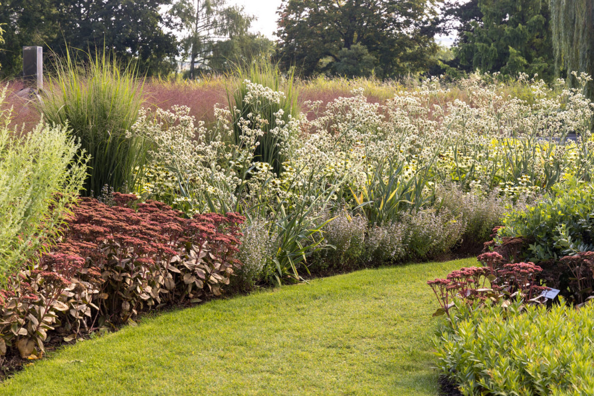 Photo: Bundesgartenschau in Erfurt 2021 - 8000 qm von Petra Pelz