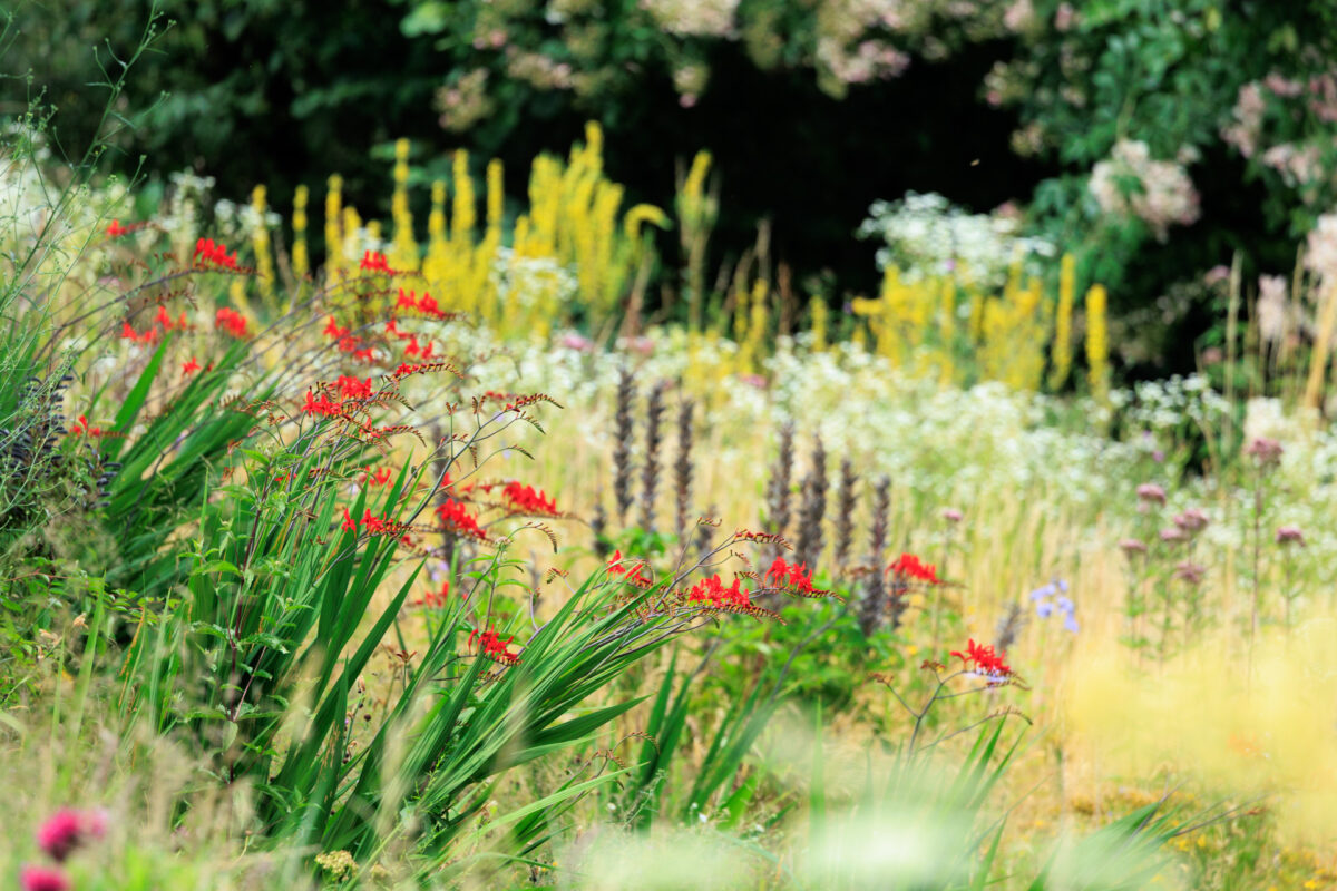 Photo: Berchigranges - ein Garten in den Vogesen