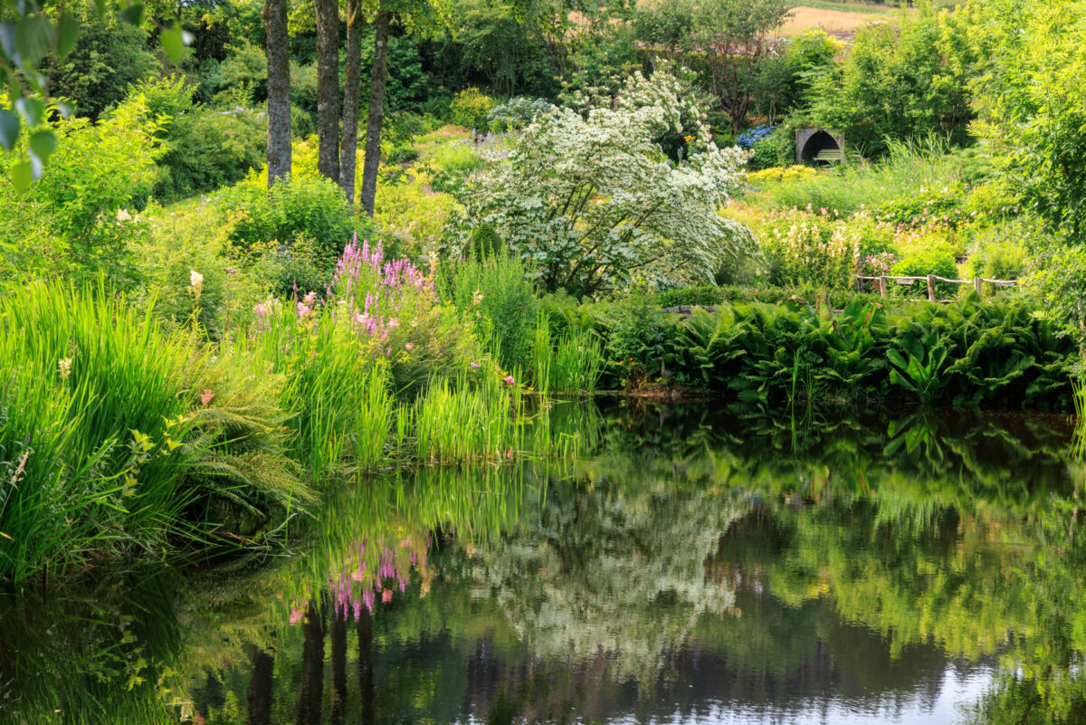 Photo: Berchigranges - ein Garten in den Vogesen