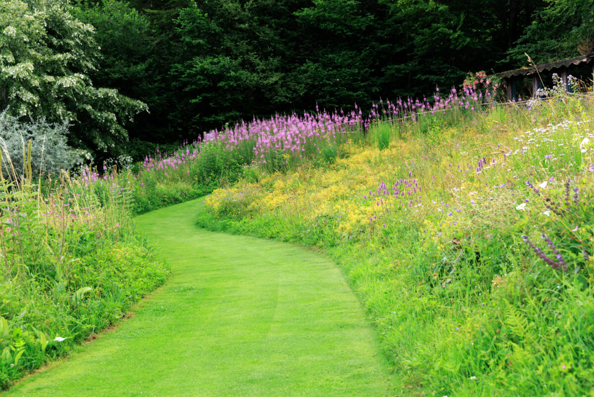 Photo: Berchigranges - ein Garten in den Vogesen