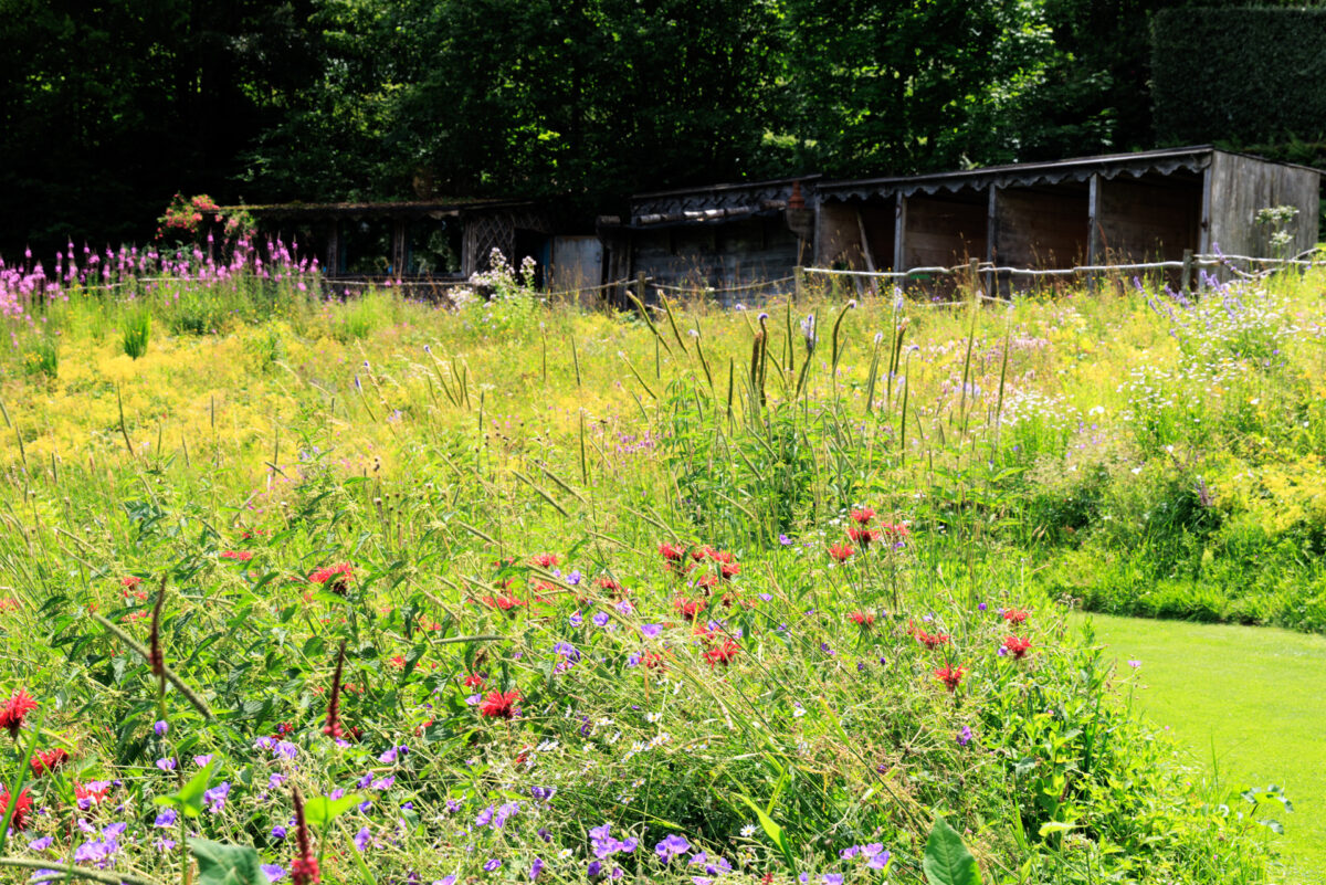 Photo: Berchigranges - ein Garten in den Vogesen