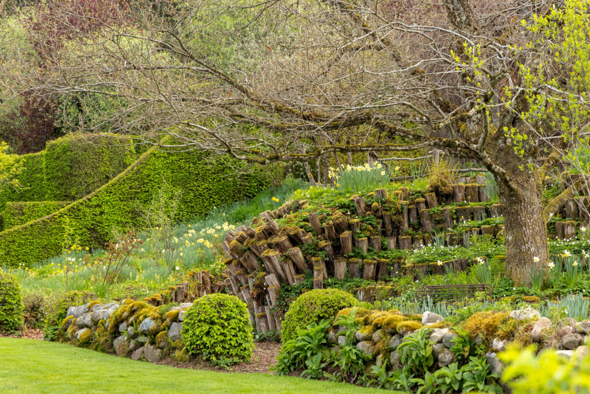 Photo: Berchigranges - ein Garten in den Vogesen