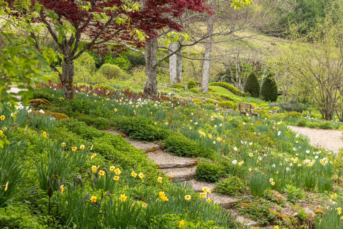 Photo: Berchigranges - ein Garten in den Vogesen