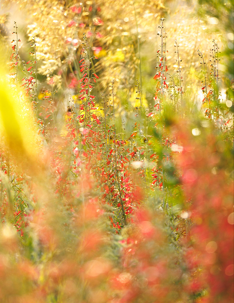 Bild: Photo: