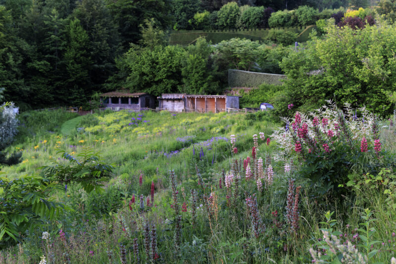 Photo: Berchigranges - ein Garten in den Vogesen