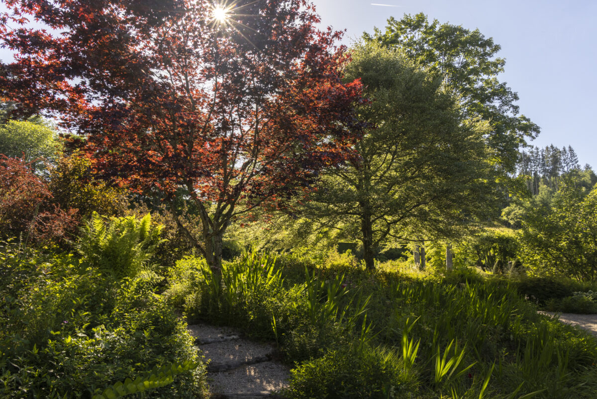Photo: Berchigranges - ein Garten in den Vogesen