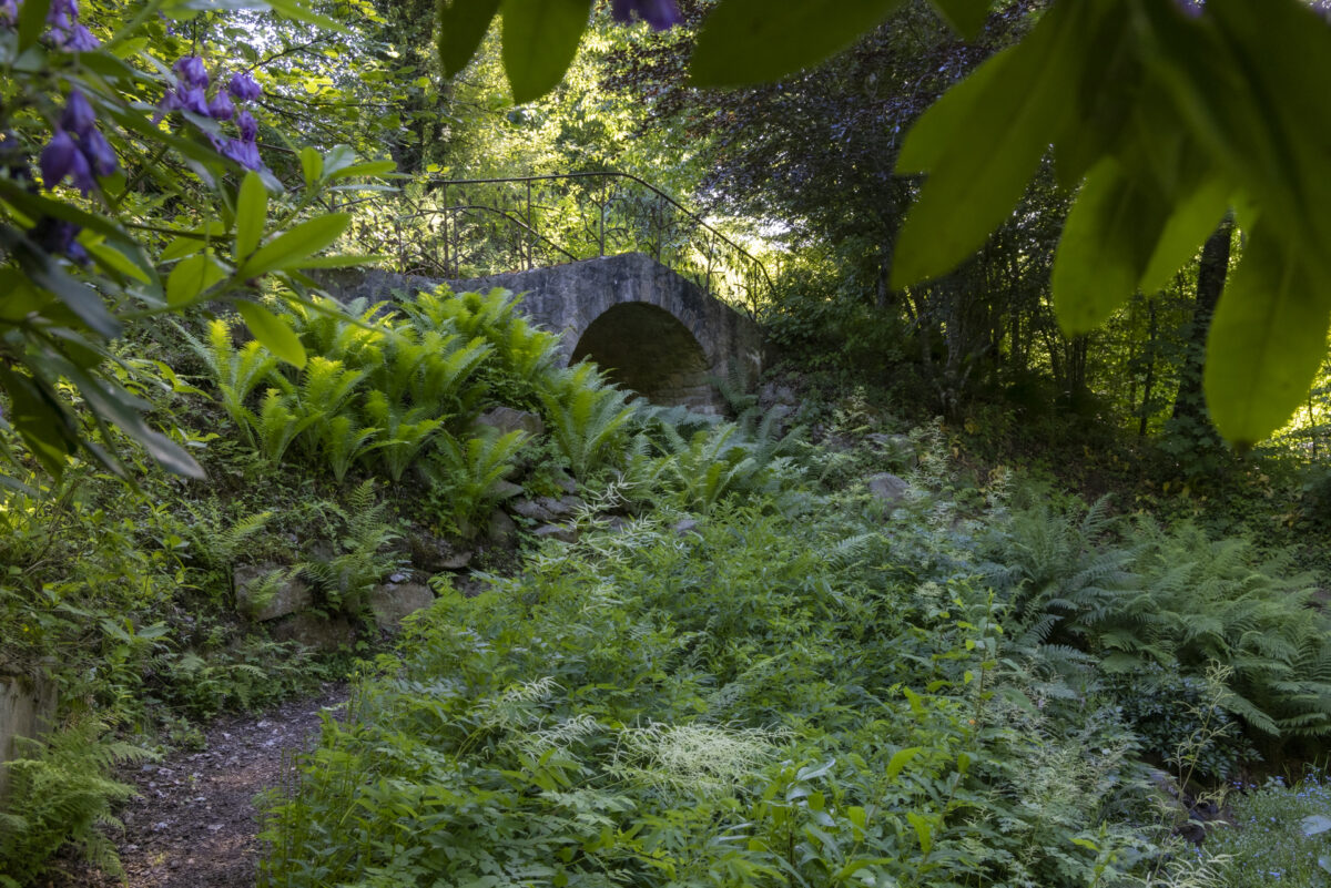 Photo: Berchigranges - ein Garten in den Vogesen