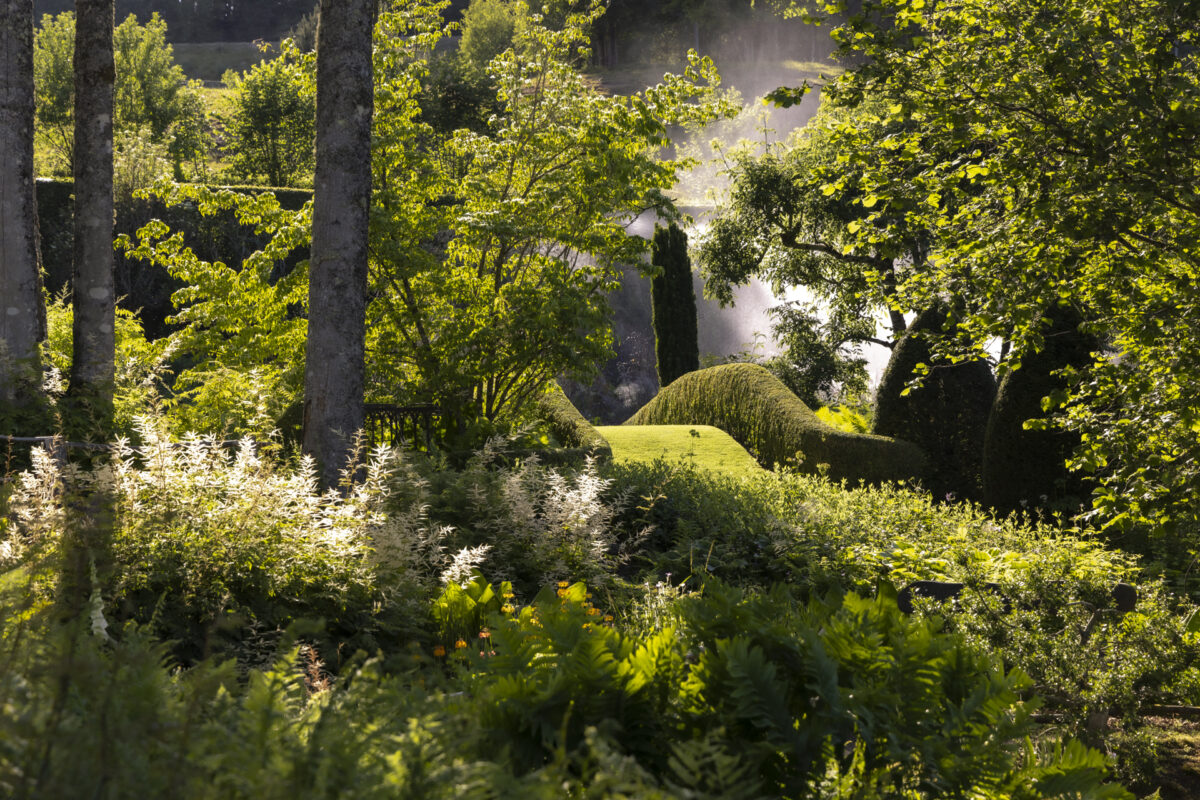 Photo: Garten 2