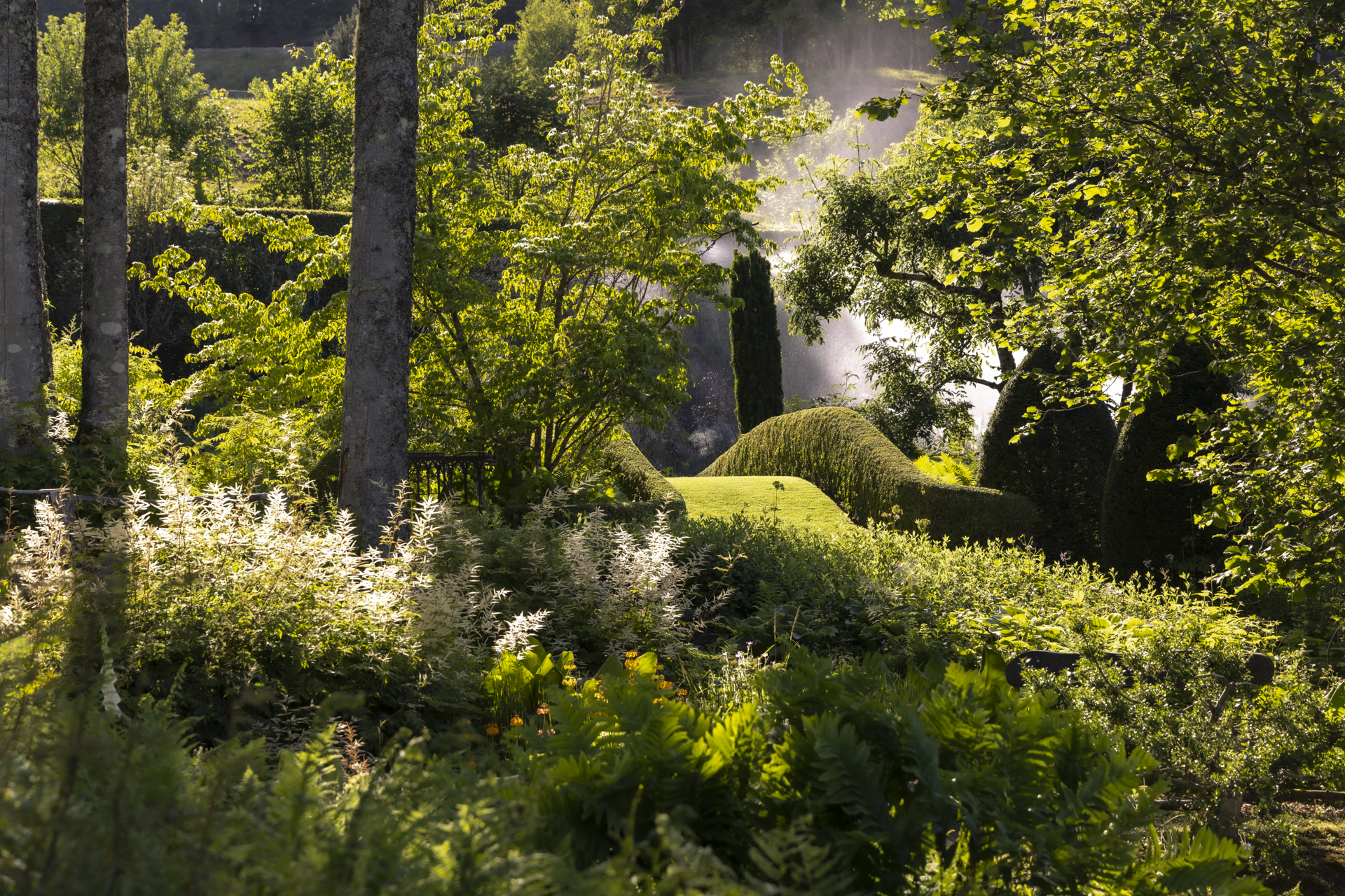 Photo: Garten 2