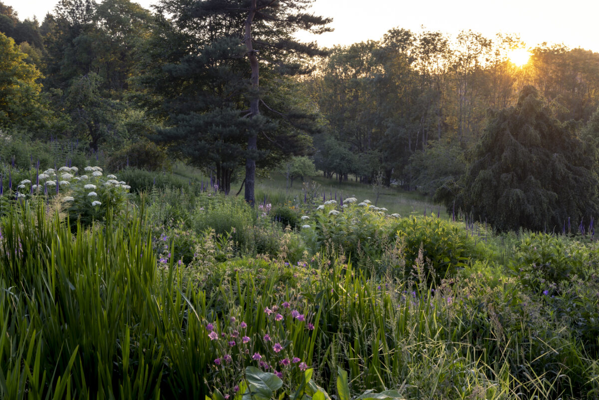 Photo: Berchigranges - ein Garten in den Vogesen