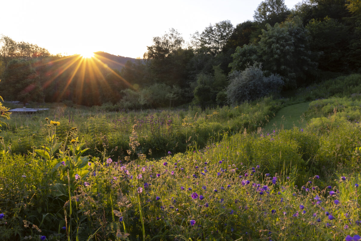 Photo: Berchigranges - ein Garten in den Vogesen
