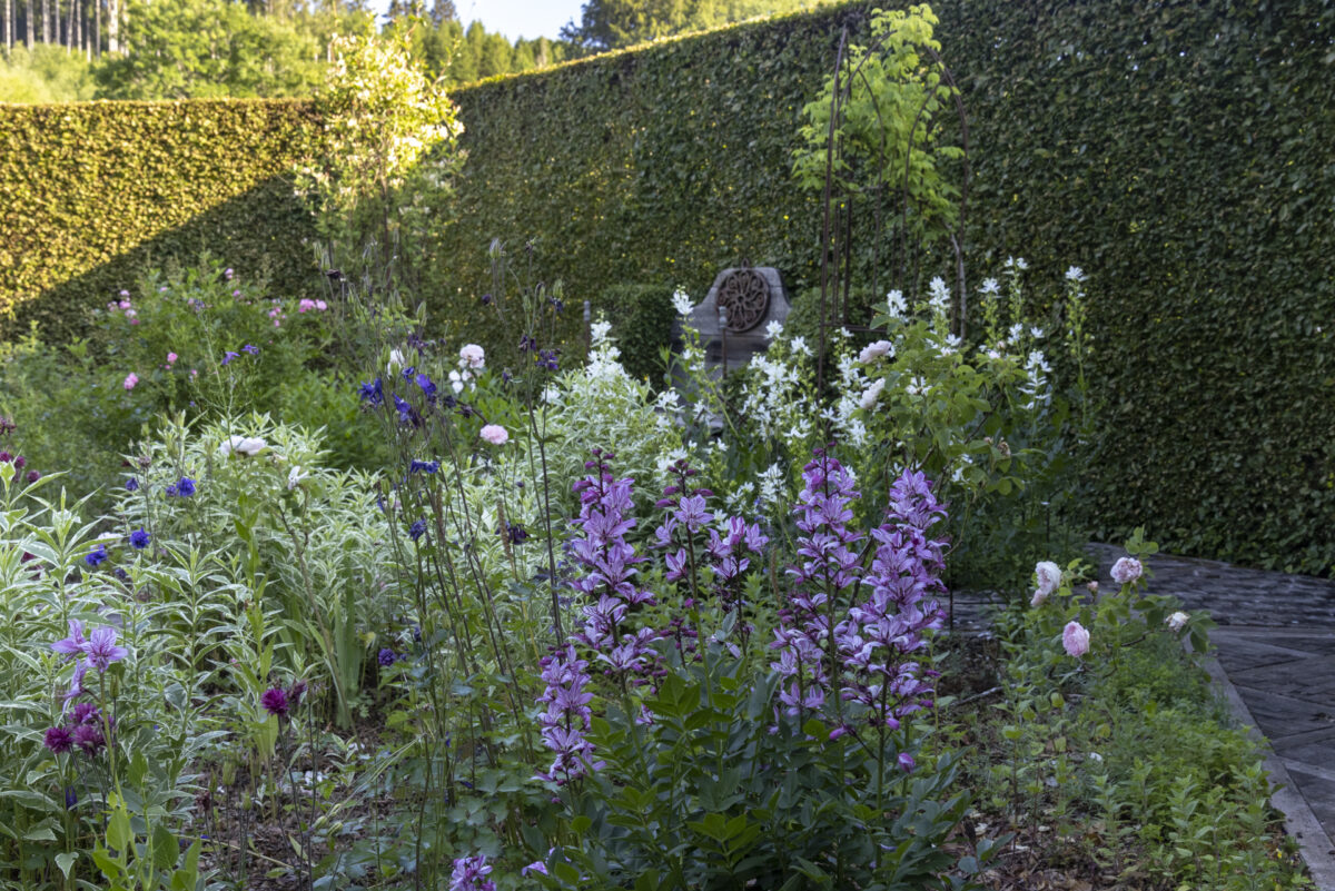 Photo: Berchigranges - ein Garten in den Vogesen