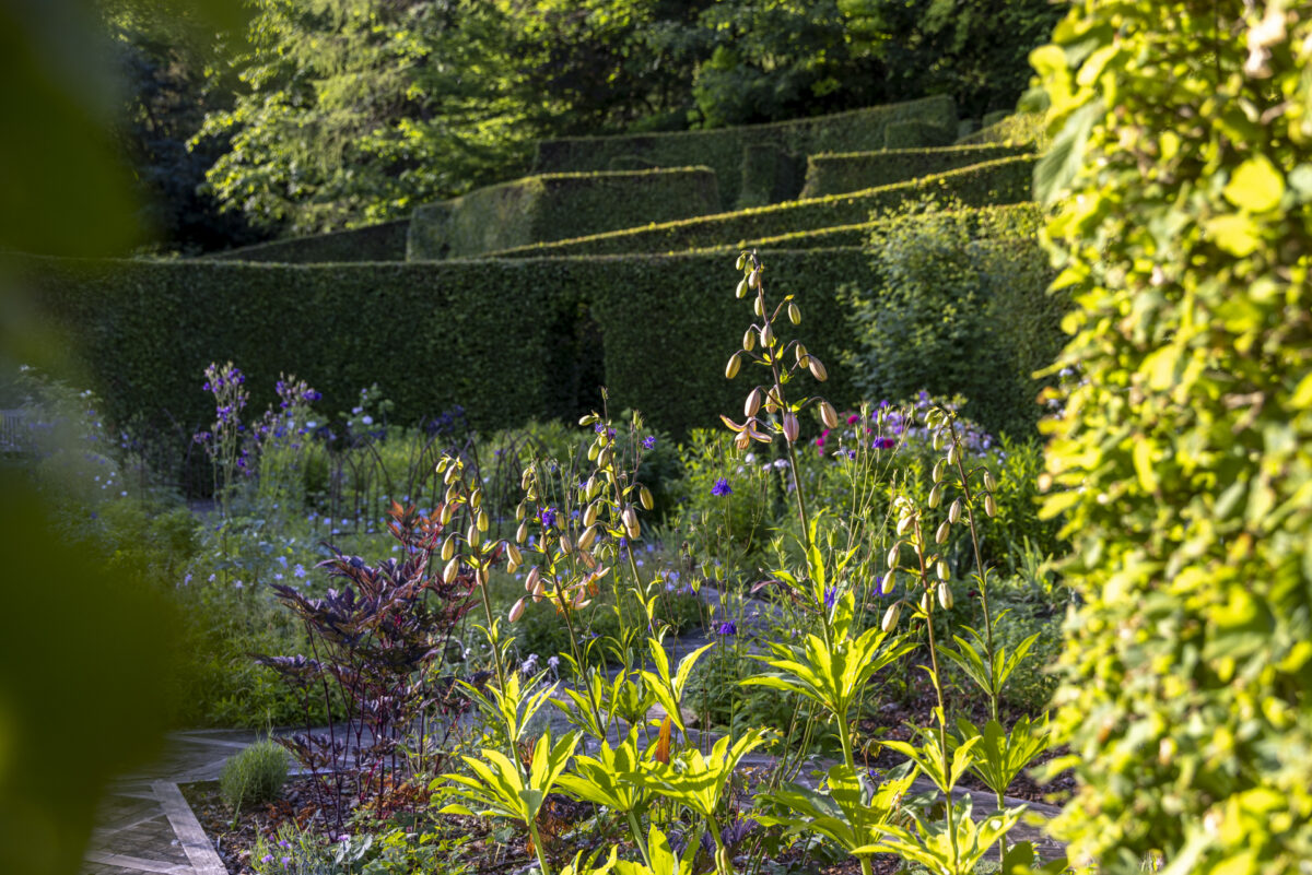 Photo: Berchigranges - ein Garten in den Vogesen